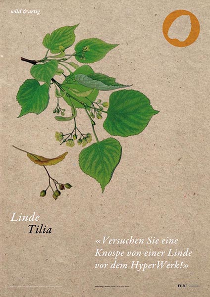 Linde