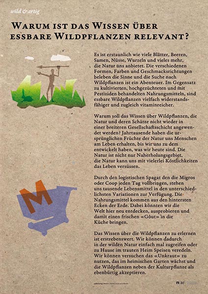 Warum ist das Wissen über essbare Wildpflanzen relevant?